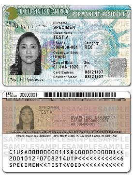 Close-up of a U.S. permanent resident card used to illustrate employment-based green card pathways